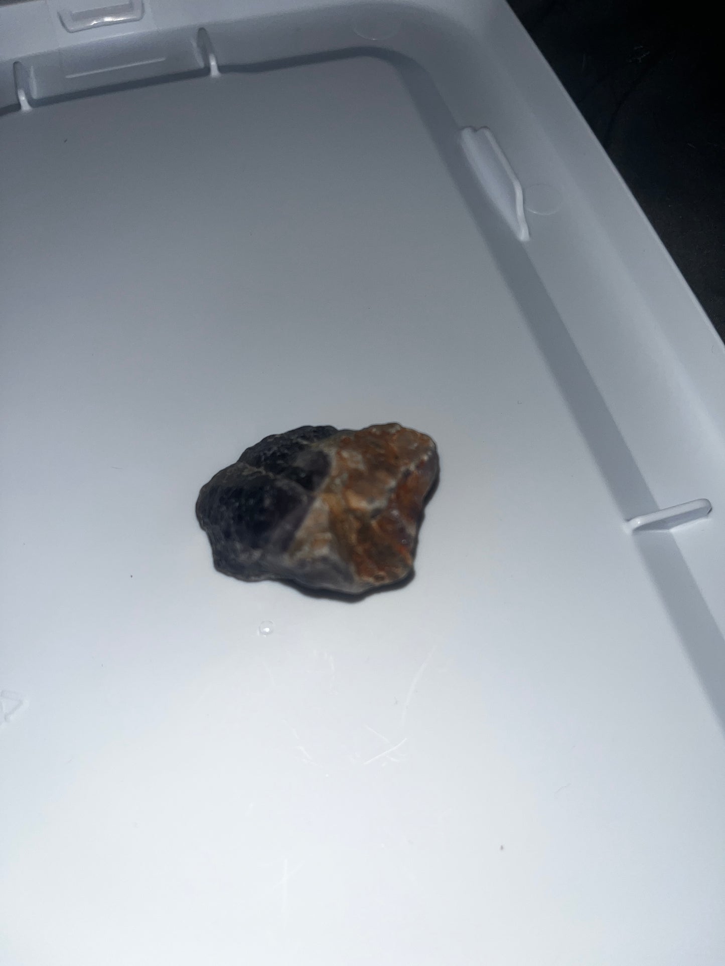Raw Amethyst (1pc)